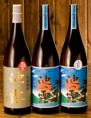 だいやめ×熊本県天草酒造『池の露』