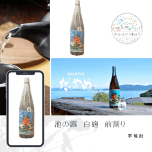 特約店正規販売　天草酒造　だいやめ限定 池の露 15度　白麹（前割り）　1800ｍｌ