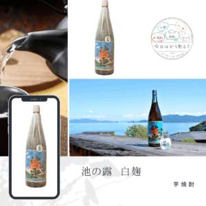 特約店正規販売　天草酒造　池の露 　黄金千貫　白麹　1800ｍｌ
