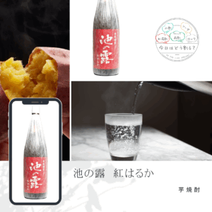 特約店正規販売　天草酒造　池の露 　紅はるか　1800ｍｌ
