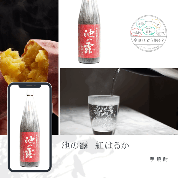 特約店正規販売　天草酒造　池の露 　紅はるか　1800ｍｌ