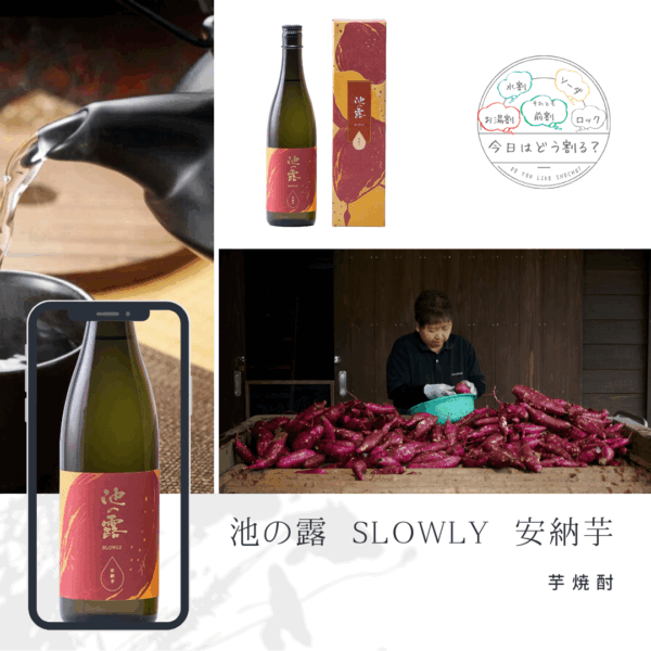正規特約店販売　天草酒造 池の露 SLOWLY 安納芋 720ml