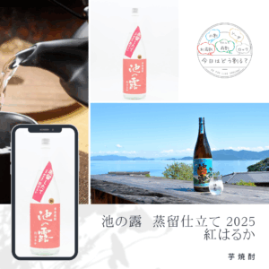 正規特約店販売　天草酒造 池の露 蒸留仕立て 紅はるか 原酒 2025 1800ml
